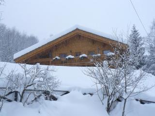 Chalet de La Poya - 3