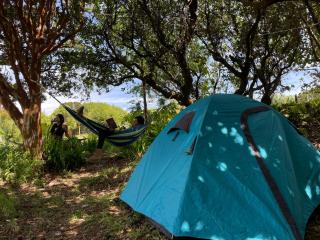 Muelle del Tiempo Camping - 3