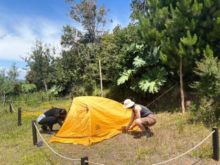 Muelle del Tiempo Camping - 2