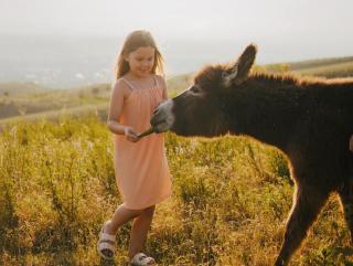 Pik Talgar Eco Village - 5