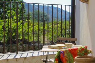 Vigna dell'Etna - Piedimonte Etneo - 9