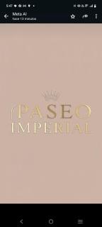 Departamentos paseo imperial san Miguel de Allende - 6