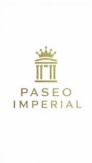 Departamentos paseo imperial san Miguel de Allende - 1