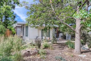 1815 Bluebell New - 8