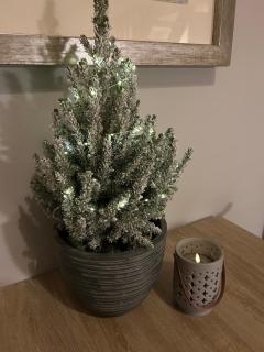 Huisje 118 bungalowpark Simpelveld - 3