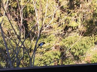 Vaste appartement de montagne - 2