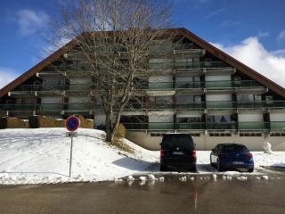 Vaste appartement de montagne - 1