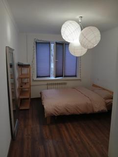 2 rooms on Train blvd, 2-комнатная на Ботанике, Кишинев - 6