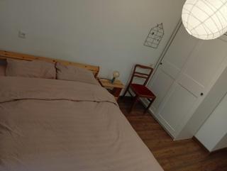 2 rooms on Train blvd, 2-комнатная на Ботанике, Кишинев - 1