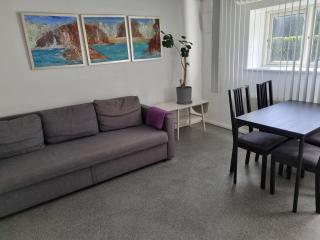 Basement apartment north in the city - 7