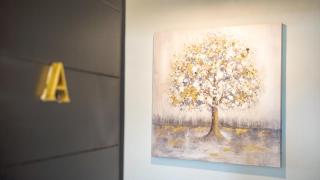 HOTEL CARASOL VILLAS & SUITES - 9