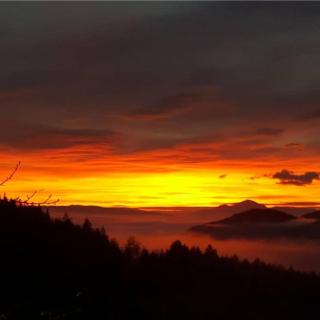 Ferienwohnung im Grünen - 5