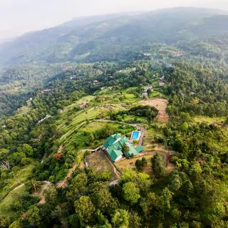 The Colonial Crest - 8