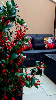 Appartamento Teodorico Ravenna - 3