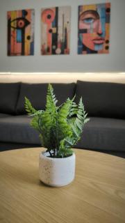 Anny Luxe Suite 1 - Central Xanthi - 3