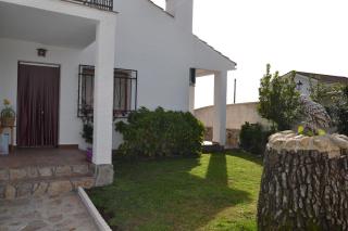 La lechuza blanca - 0