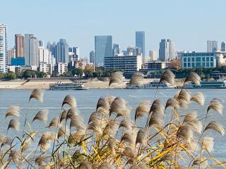 Holiday Inn Wuhan Riverside by IHG - 7