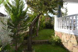 La lechuza blanca - 1