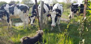 Mer, nature, acceuil - 4