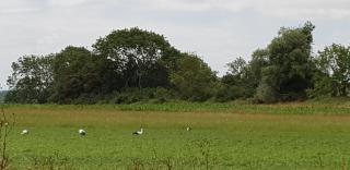 Mer, nature, acceuil - 3