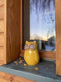 Ecogîte Les Papillons des Sucs - 1