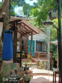 Bosque de Ángeles - 6