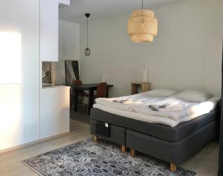 Kodikas yksiö, Salmela Free Wifi - 1