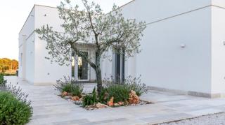 Residenza del Duca - 1