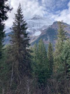 Mountaineer Creekside Cabin - Private Hot Tub - 4
