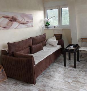 Zmaj apartman - Divčibare - 1