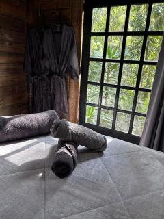 Floresta das Evas - 3