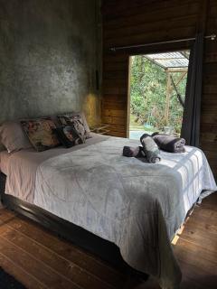 Floresta das Evas - 4