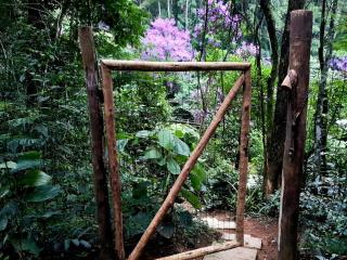 Floresta das Evas - 8