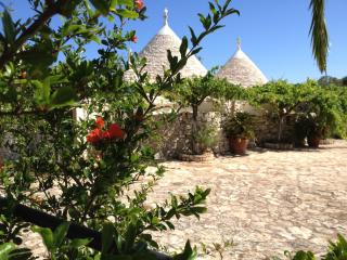 Masseria Sciaiani Piccola - Villa Castelli - 5