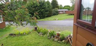 Hamishs log cabin - 9