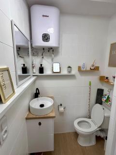 Rose Pétale Douceur & Lumière - Gare SNCF - 5