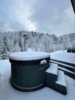 Podhorský Apartmány Terchová - 6