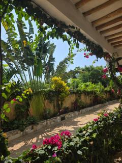 CASA BOUGAN APARTMENTS - 7