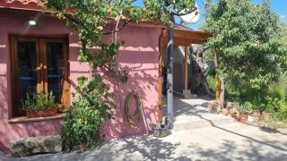 -Giardino- Vakantiehuis tussen de olijvenbomen - 7