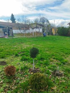 Вила Релакс - Pleven - 7