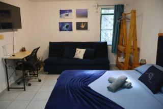 Studios Yaxkin, located in downtown - 9