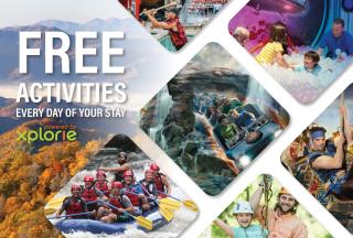 Black Bear Retreat 2 beds! cabin - 8