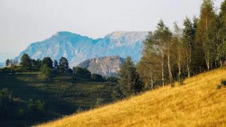 Catunu lupului village Cabana Monte Benito - 1