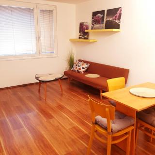 Byt ve Zdechovicích - 0