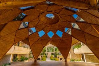 Jungle & Jade 202 - 6