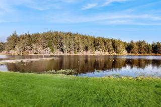 Lake Front Getaway - Carnahan - 9