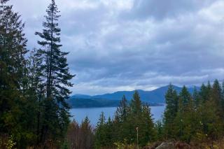 Tiny Lake Retreat - 9