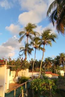 Cabanas Caraúbas II - ótimo visual do mar - 5
