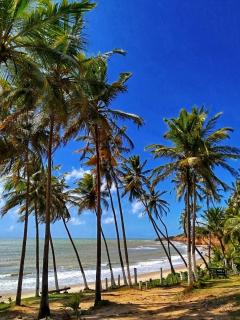 Cabanas Caraúbas II - ótimo visual do mar - 1