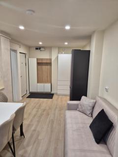 Diana Premium Apartament - 9